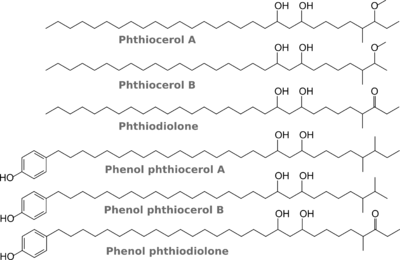 Phthiocerols, phthiodiolone, phenylphthiocerols, phenylphthiodiolone.